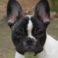 Profile picture of Bawstin